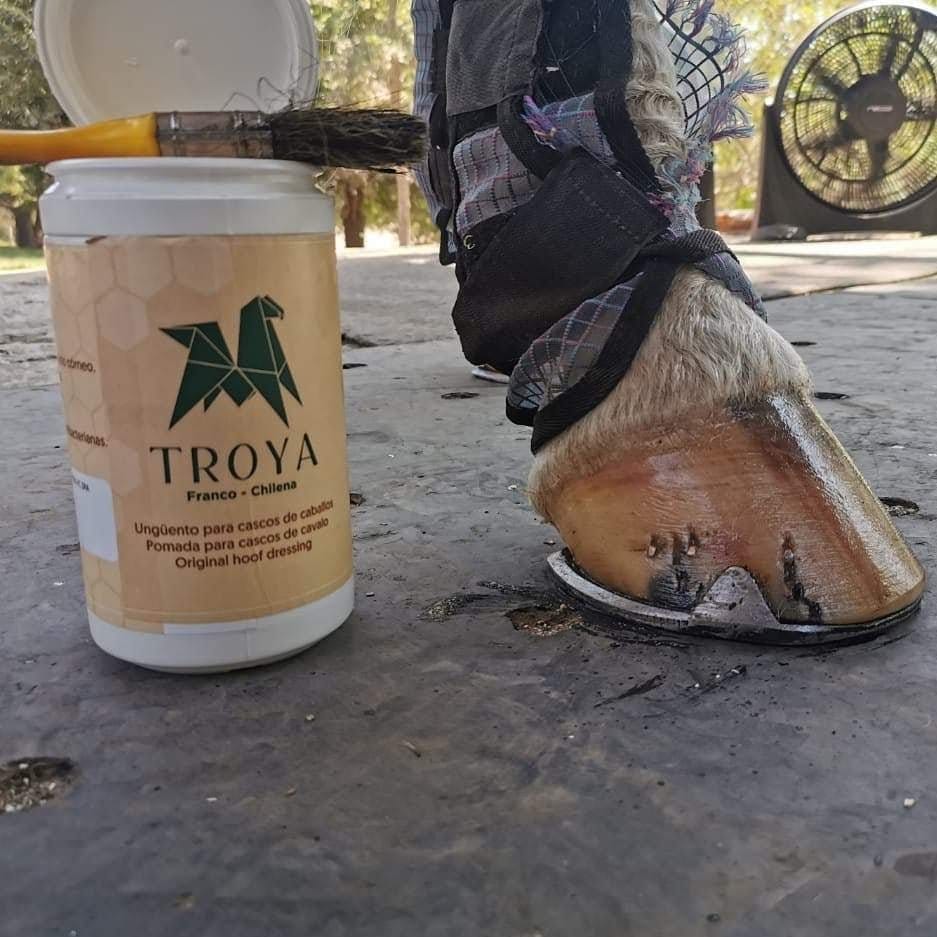 Troya Ungüento para cascos - Imagen 2