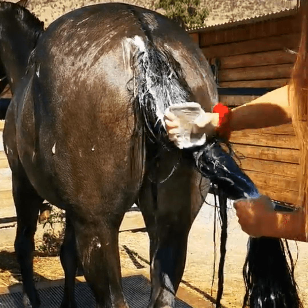 Shampoo para caballos en Barra con Repelente - Imagen 2