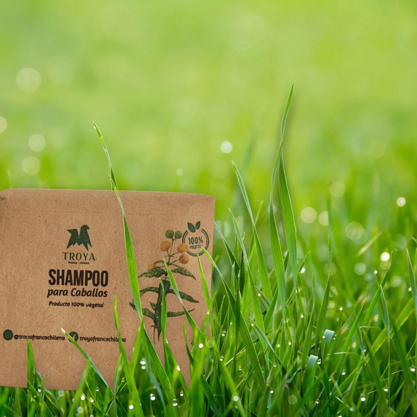 Shampoo para caballos en Barra con Repelente