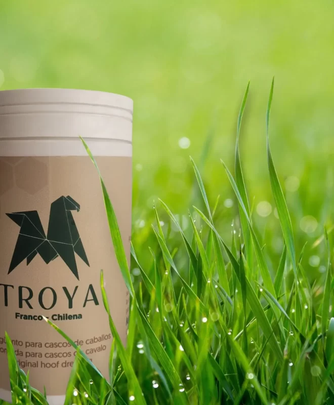 Troya Ungüento para cascos