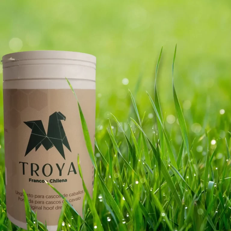Troya Ungüento para cascos