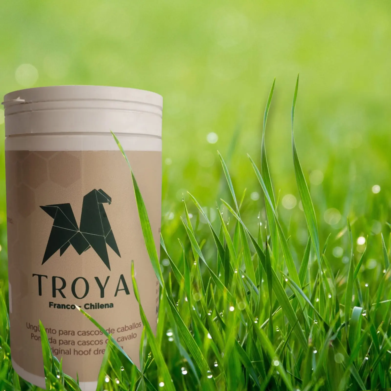 Troya Ungüento para cascos