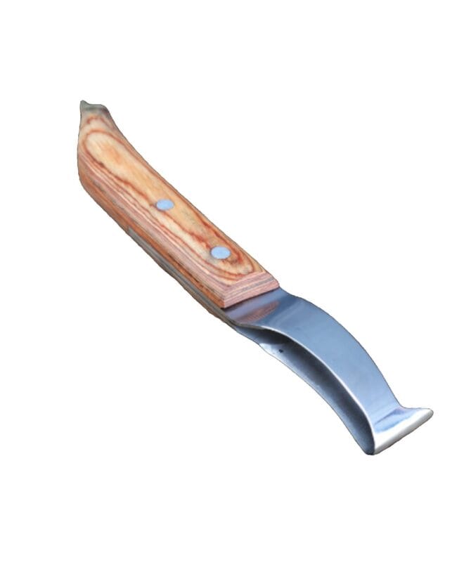 Gubia Loop (Ambidiestra)