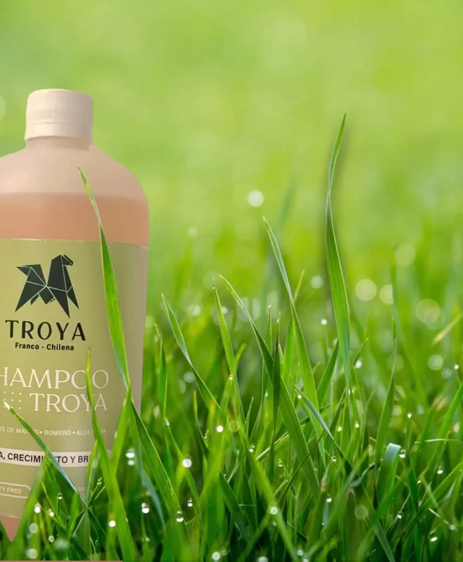 Shampoo para caballos Troya